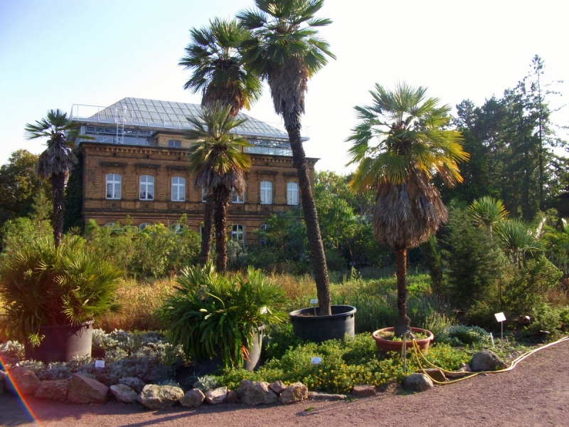Botanischer-Garten-Halle